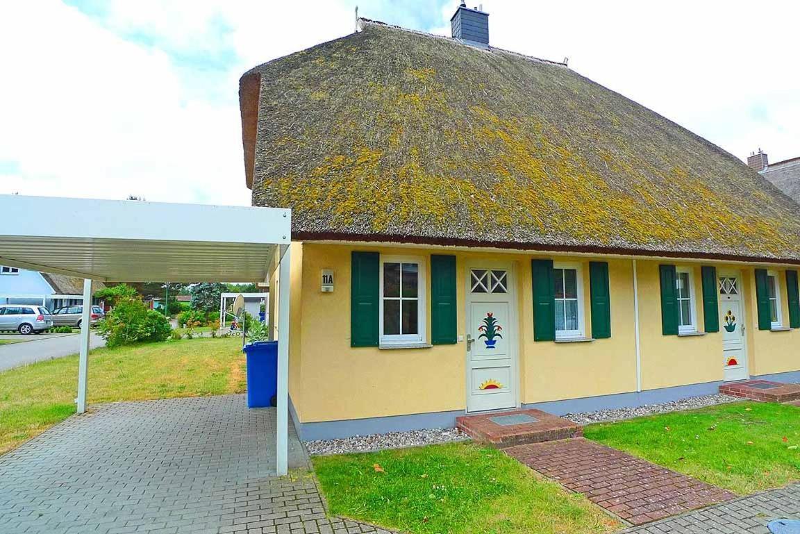 Ferienhaus An Der Alten Waldschaenke Ws-11A Born Εξωτερικό φωτογραφία